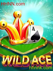 Descubra a Empolgante Experiência de Jogo com WildAce